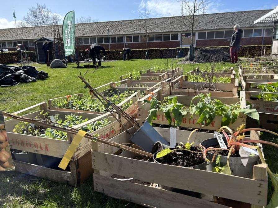 Havedag i Vestbyens Skovhave